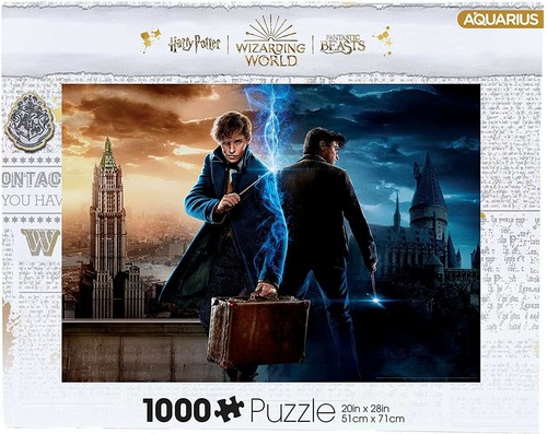 Harry potter fantastic - harry,