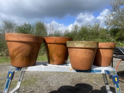 Large terracotta planters - large,