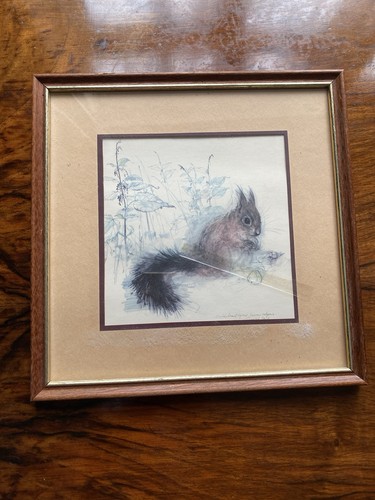 Framed print blacktail - framed,