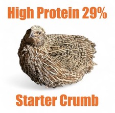 Quail Chick Starter Crumb 29%
