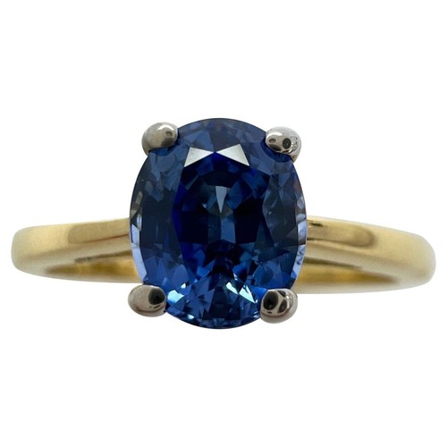 00ct vivid cornfower blue - vivid,