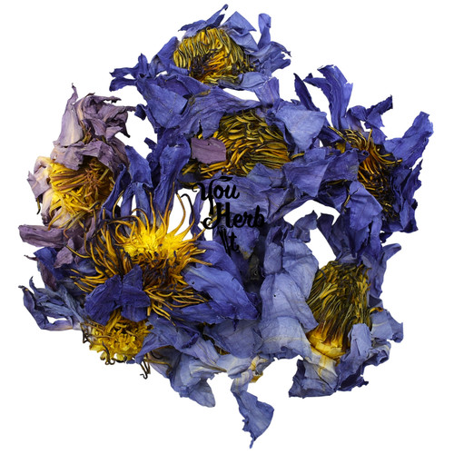 Blue lotus dried - lotus, whole