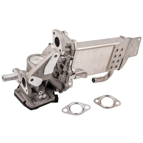 Outlet egr valve - valve, for