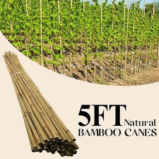 5FT LARGE BAMBOO CANES HEAVY