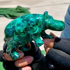 322G Natural glossy Malachite  Crystal  Handcarved hippo mineral sample