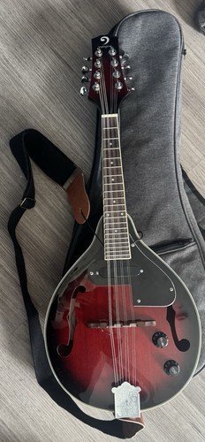 Mandolin - , (electric)