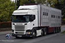 Truck Photo  Unknown Livestock Haulier Scania & trailer SM65 JVY