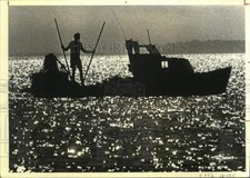 1981 Press Photo Silhouette of