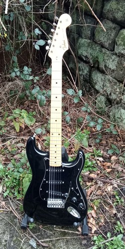 Tokai springy sound early - tokai,