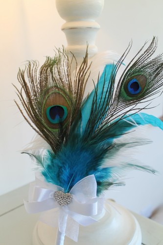 Peacock feather wedding pen - peacock,