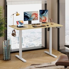 120x60cm Height Adjustable Desk Electric Standing Desk Home Office Memory Preset