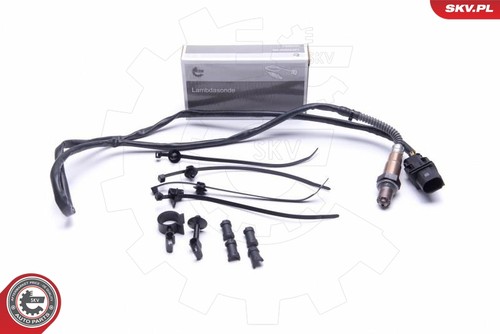 Oxygen sensor esen skv - oxygen,