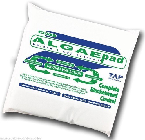 Tap algae pad - algae, blanketweed