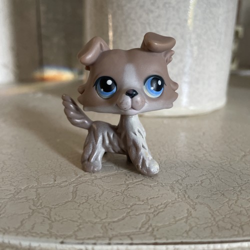 Littlest pet shop - pet, lps