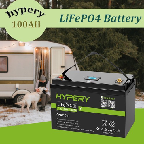12v 100ah lifepo4 - 12v,