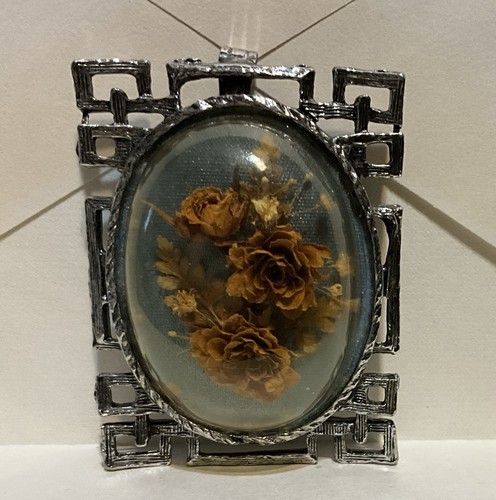 Vintage terrarium shadowbox - vintage,