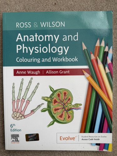 Ross wilson anatomy - &,