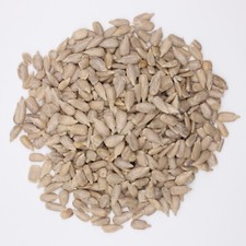 Hammykins Sunflower Seeds 50g Premium Hamster Food treat Syrian & Dwarf Pet