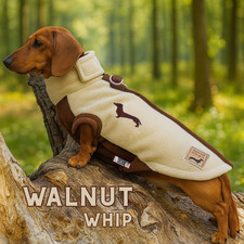 Walnut Whip DoxieDri Dachshund