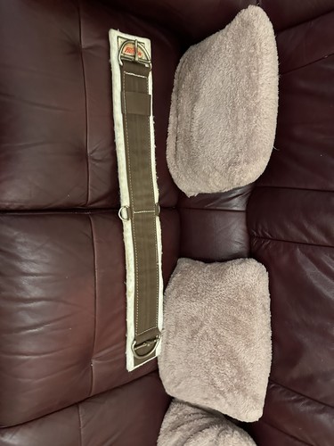 Felt western cinch - felt, 33