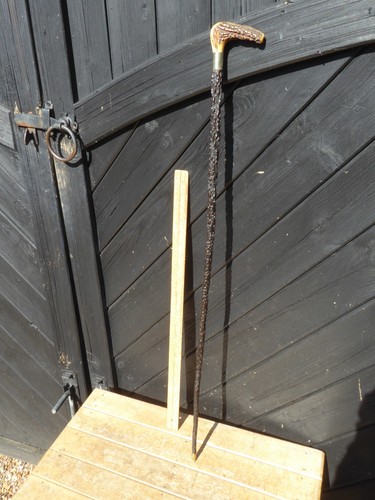 Antique irish blackthorn - antique,