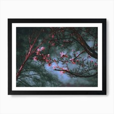 Blossom Art Print Framed Wall
