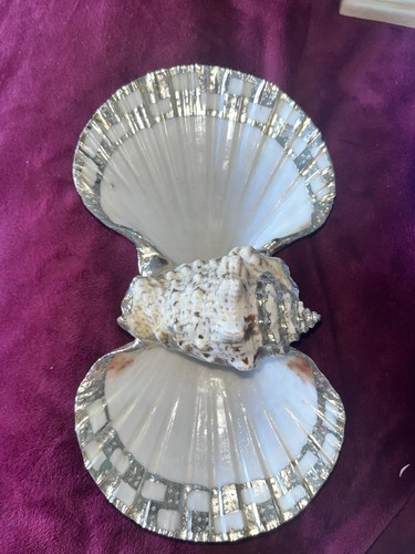 Bathroom shell dish - bathroom,