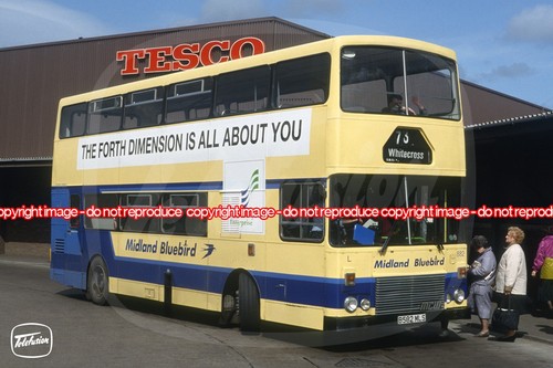 Bus photo midland bluebird - photo,