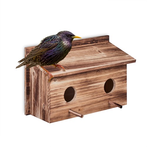 Nesting box starling house - nesting,