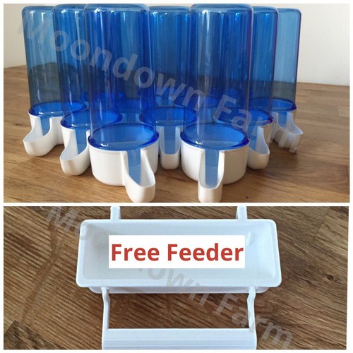 110ml cage bird - cage,
