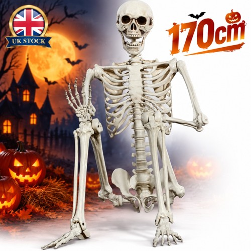 170cm large poseable full - 170cm,