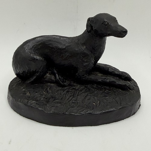 Dog greyhound coal - greyhound, e