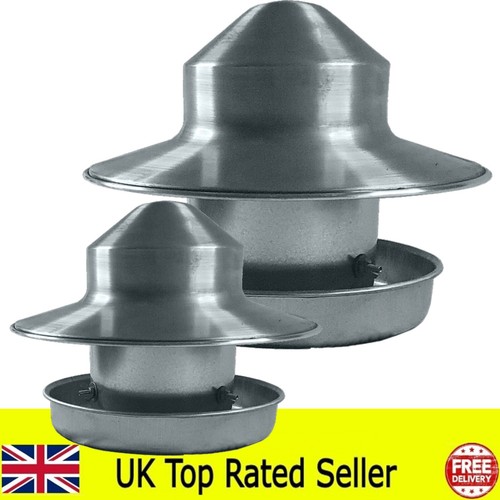 Hen chicken poultry feeder - chicken,