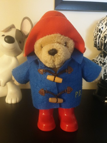 Paddington bear - bear, :