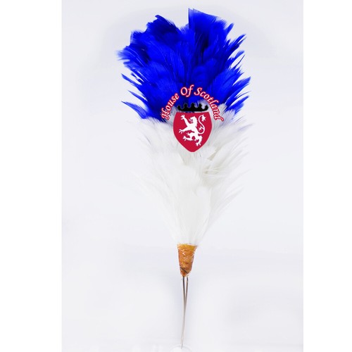 Glengarry cap plume - plume, feather