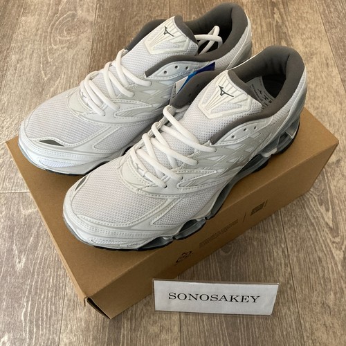 Mizuno wave prophecy - mizuno,