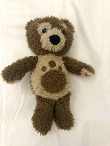 Talking little charley bear - little,