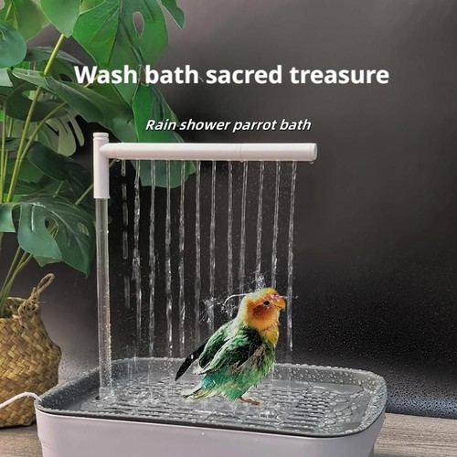 Automatic parrot bird - automatic,