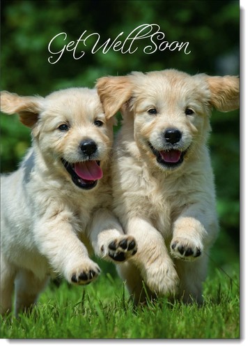 Doodlecards get well card - get,