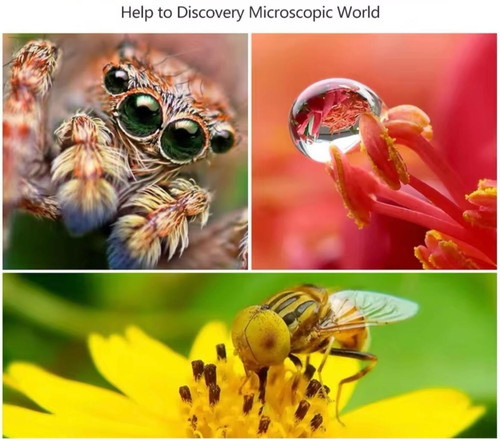 Nikon mount macro extension - nikon,