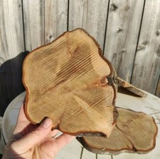 Wooden slices crafts 23cm - wooden,
