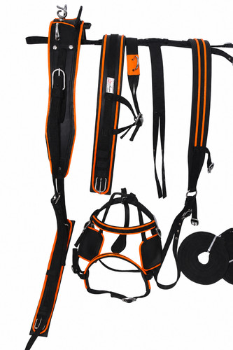 Nylon webbing driving harness - nylon,