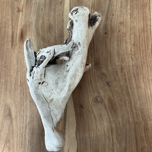 1ft driftwood piece - 1ft, root