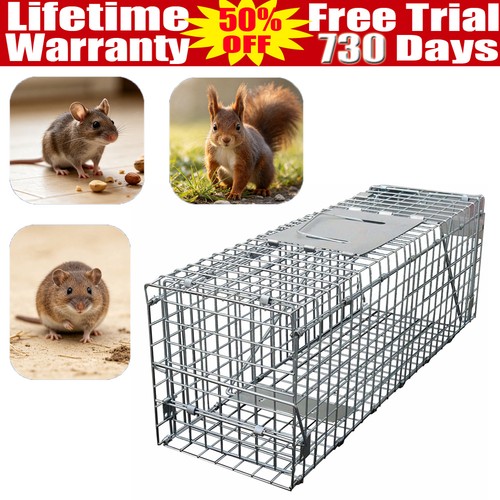Large humane rat - large, trap