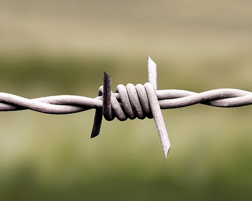 Heavy duty barbed - heavy,