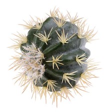 1x Funny Cactus Car Antenna Pen Topper Aerial Ball Decor Toy Finding$6 _where