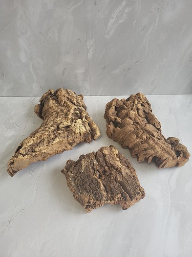 Cork bark flat vivarium - cork,