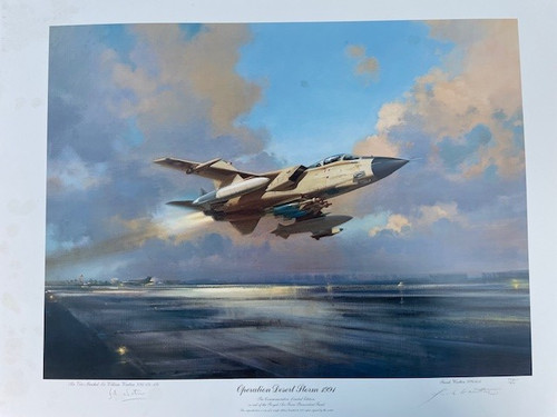 Operation desert storm - desert, 1991
