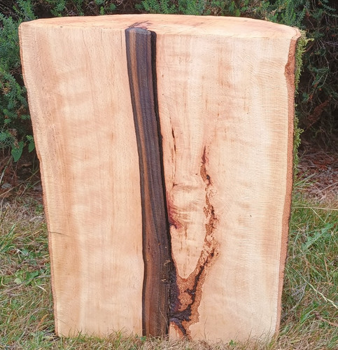 Beech wood half moon shaped