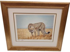 Stephen Gayford Ready To Act